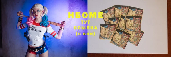 тгк Абаза