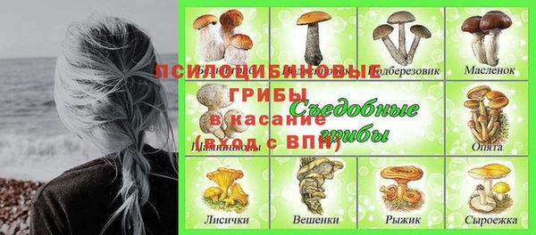 тгк Абаза