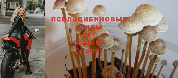 тгк Абаза