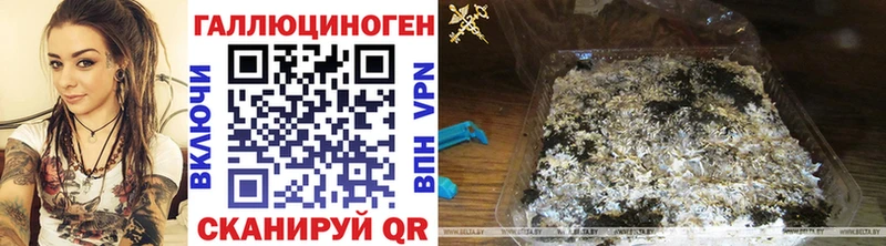 Псилоцибиновые грибы прущие грибы  Лакинск 